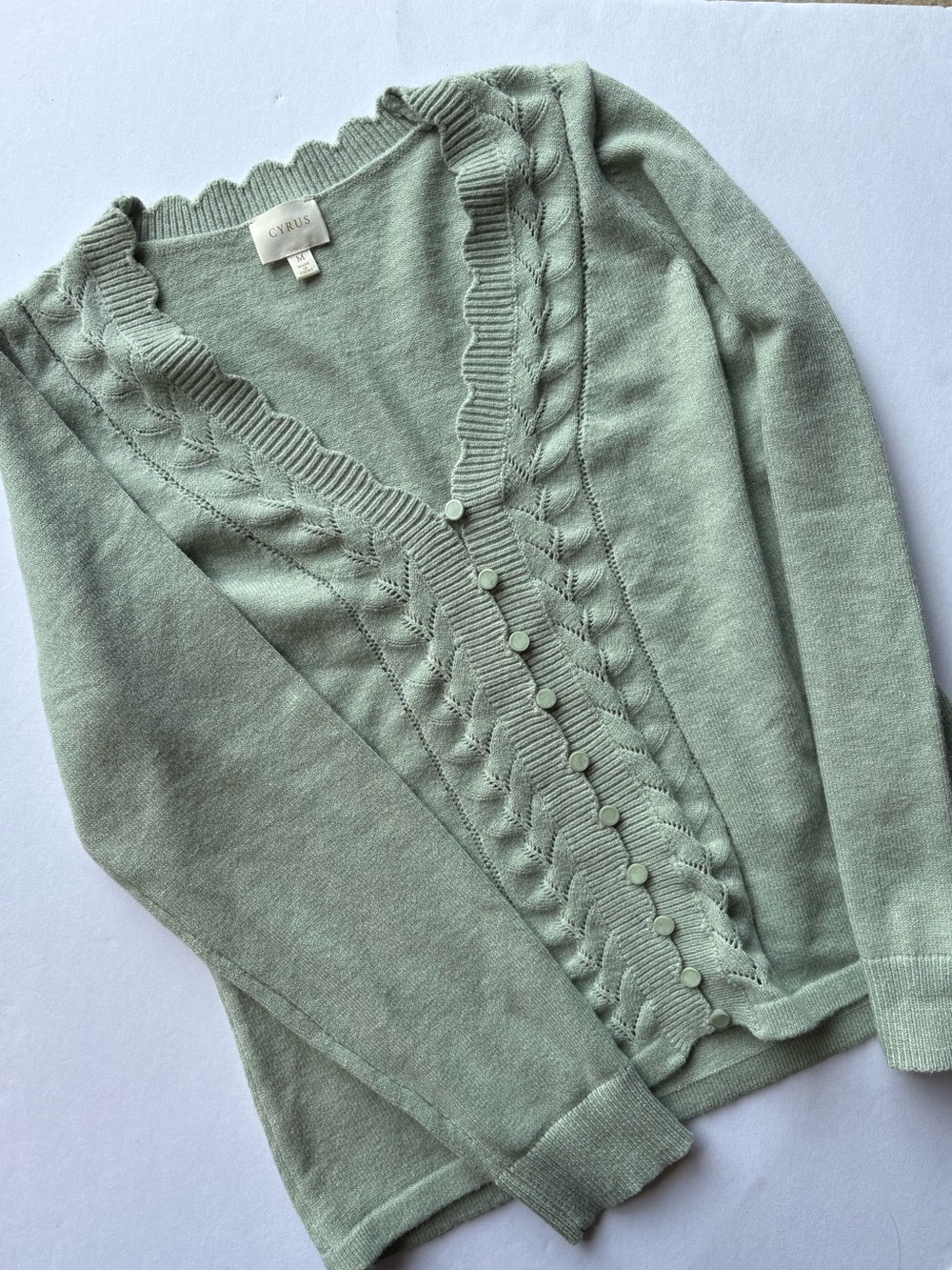 Cyrus Seafoam Green Cottagecore Scallop Pointelle Cardigan
